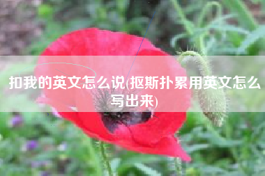 扣我的英文怎么说(抠斯扑累用英文怎么写出来)