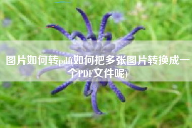 图片如何转pdf(如何把多张图片转换成一个PDF文件呢)