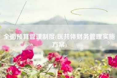 全面预算管理制度(医共体财务管理实施方案)