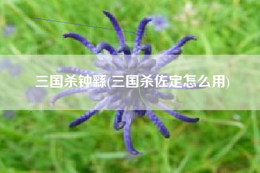 三国杀钟繇(三国杀佐定怎么用)