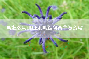呢怎么写(用正和呢造句两个怎么写)