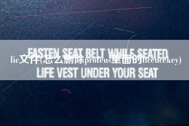 lic文件(怎么删除proteus里面的licencekey)