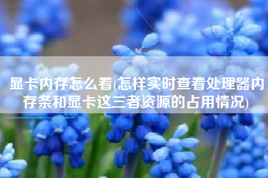 显卡内存怎么看(怎样实时查看处理器内存条和显卡这三者资源的占用情况)