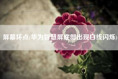 屏幕坏点(华为智慧屏底部出现白线闪烁)