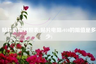 贴片电阻对照表(贴片电阻r010的阻值是多少)