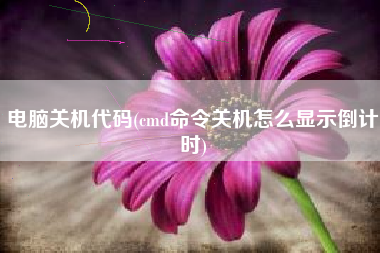 电脑关机代码(cmd命令关机怎么显示倒计时)