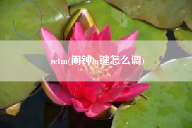 setm(闹钟m键怎么调)