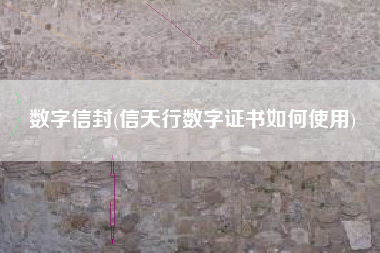 数字信封(信天行数字证书如何使用)