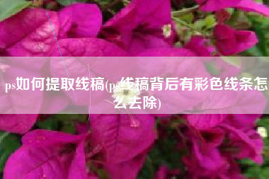 ps如何提取线稿(ps线稿背后有彩色线条怎么去除)