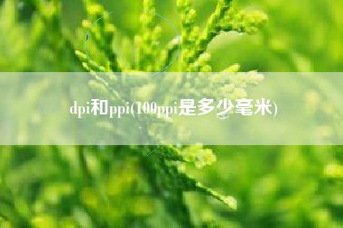 dpi和ppi(100ppi是多少毫米)