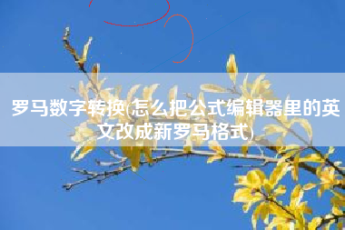 罗马数字转换(怎么把公式编辑器里的英文改成新罗马格式)