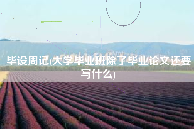 毕设周记(大学毕业班除了毕业论文还要写什么)