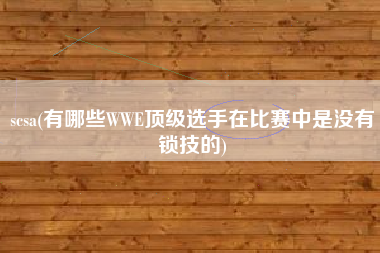 scsa(有哪些WWE顶级选手在比赛中是没有锁技的)