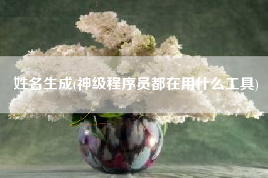 姓名生成(神级程序员都在用什么工具)
