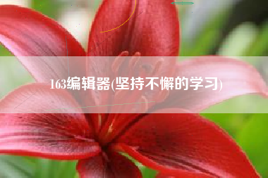 163编辑器(坚持不懈的学习)