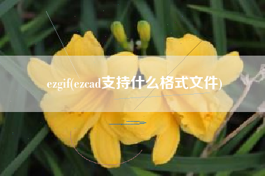 ezgif(ezcad支持什么格式文件)