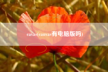 cavas(canvas有电脑版吗)