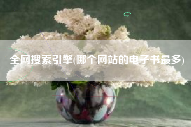 全网搜索引擎(哪个网站的电子书最多)