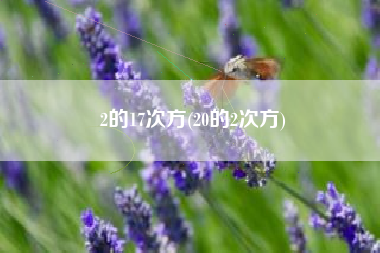 2的17次方(20的2次方)