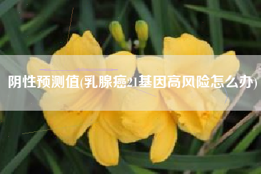 阴性预测值(乳腺癌21基因高风险怎么办)