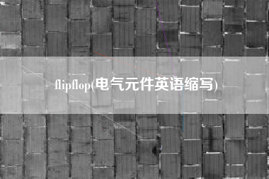 flipflop(电气元件英语缩写)
