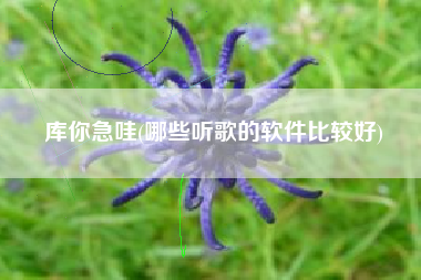 库你急哇(哪些听歌的软件比较好)