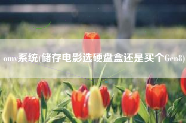 omv系统(储存电影选硬盘盒还是买个Gen8)