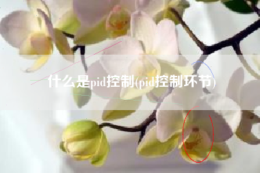 什么是pid控制(pid控制环节)