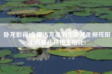 卧龙影视(金庸古龙梁羽生卧龙生柳残阳上官鼎还珠楼主相比)