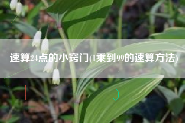 速算24点的小窍门(1乘到99的速算方法)