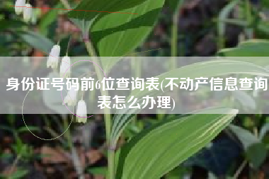 身份证号码前6位查询表(不动产信息查询表怎么办理)