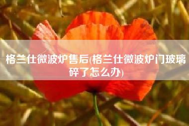 格兰仕微波炉售后(格兰仕微波炉门玻璃碎了怎么办)