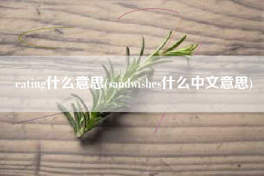eating什么意思(sandwishes什么中文意思)