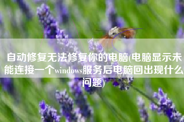 自动修复无法修复你的电脑(电脑显示未能连接一个windows服务后电脑回出现什么问题)