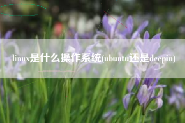 linux是什么操作系统(ubuntu还是deepin)
