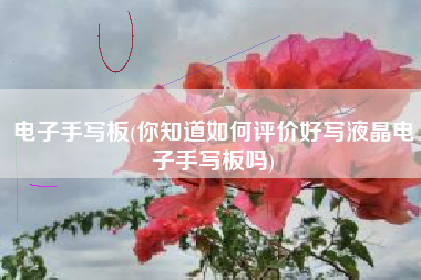 电子手写板(你知道如何评价好写液晶电子手写板吗)