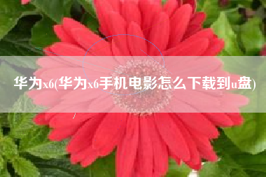 华为x6(华为x6手机电影怎么下载到u盘)