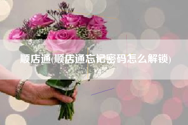 顺店通(顺店通忘记密码怎么解锁)