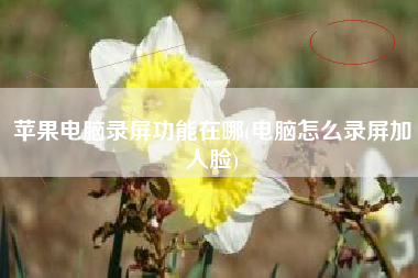 苹果电脑录屏功能在哪(电脑怎么录屏加人脸)