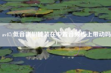 av47(低音喇叭能装在中置音频线上带动吗)
