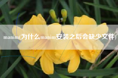 manim(为什么manim安装之后会缺少文件)