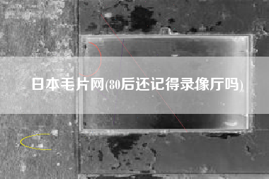 日本毛片网(80后还记得录像厅吗)