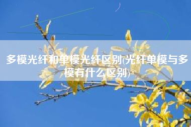多模光纤和单模光纤区别(光纤单模与多模有什么区别)