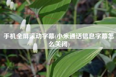 手机全屏滚动字幕(小米通话信息字幕怎么关闭)