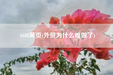 1688黄页(外贸为什么难做了)