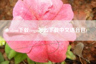 slam下载(csgo怎么下载中文语音包)