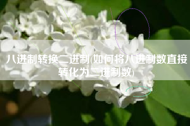 八进制转换二进制(如何将八进制数直接转化为二进制数)