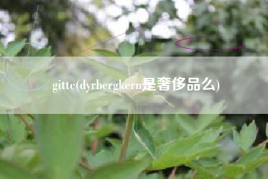 gitte(dyrbergkern是奢侈品么)
