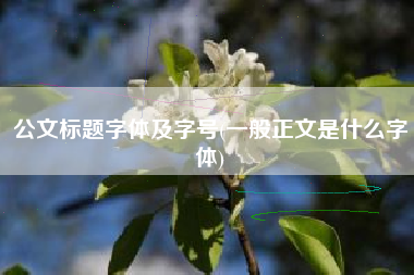 公文标题字体及字号(一般正文是什么字体)