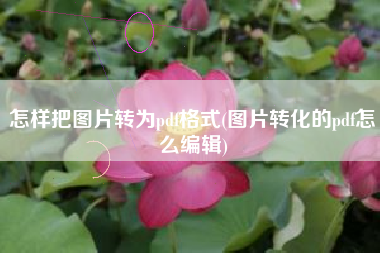 怎样把图片转为pdf格式(图片转化的pdf怎么编辑)